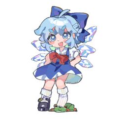 cirno from embodiment of scarlet devil