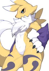 renamon from digimon by kokodari
