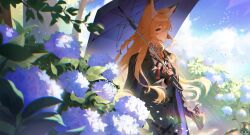 vulpisfoglia (arknights) from arknights