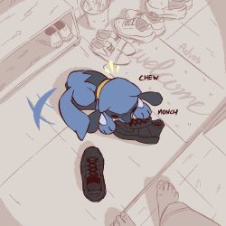 riolu from pokemon by advos