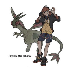 flygon from pokemon by ichi kawa ichi