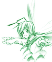 wriggle nightbug from touhou by mei (artist)