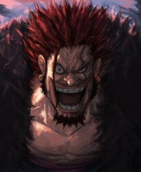 rocks d. xebec from one piece