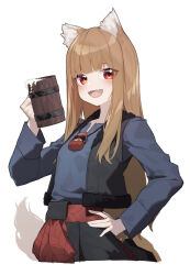 holo from spice and wolf