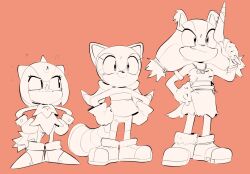marine the raccoon from sonic (series)