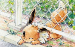 eevee from pokemon by narumi sato