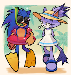 blaze the cat from sonic (series)