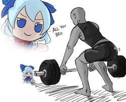 cirno from touhou