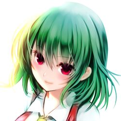 kazami yuuka from touhou by maryquant