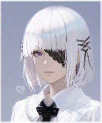 punishing: gray raven fan art