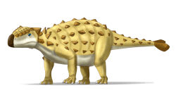 sandslash from pokemon