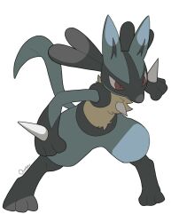 lucario from pokemon