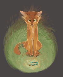 firestar (warrior cats) from the prophecies begin