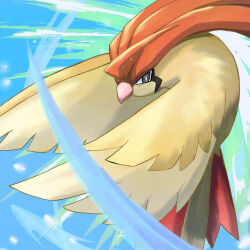 pidgeotto from pokemon