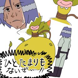 james (pokemon) from pokemon