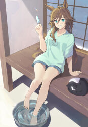 mr. c.b. (umamusume) from umamusume