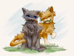 cinderpelt from warrior cats