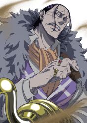 crocodile (one piece) from one piece