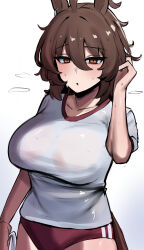 agnes tachyon (umamusume) from umamusume