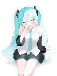 hatsune miku from vocaloid