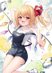 flandre scarlet from touhou by miy@