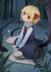 rumia from touhou by kitahara (pixiv 19528441)
