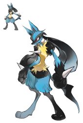 lucario from pokemon