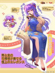 shampoo (ranma 1/2) from houchi shoujo