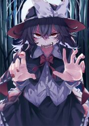 usami renko from touhou