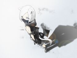 shirayuki (arknights) from arknights