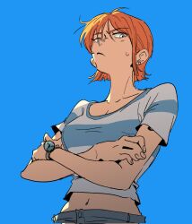 nami (one piece) from one piece