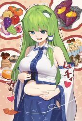 kochiya sanae from touhou by kanpa (campagne 9)