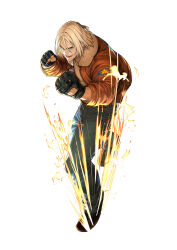 terry bogard from fatal fury