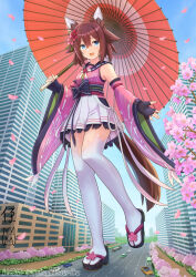 sakura chiyono o (umamusume) from umamusume by iroha (iroha matsurika)