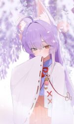 tenko shibuki from stellive