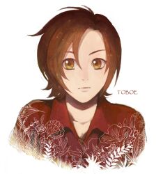 toboe fan art