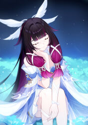 columbina (genshin impact) from genshin impact