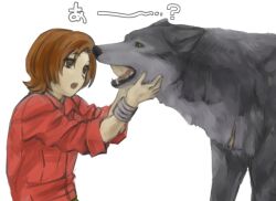 toboe fan art