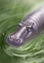hippopotamus gorgops (kemono friends) from kemono friends
