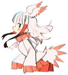 japanese crested ibis (kemono friends) from kemono friends