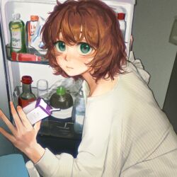 Booru post from safebooru.org