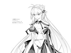 archetype earth from fate/grand order