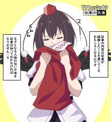 shameimaru aya from touhou by to~fuya