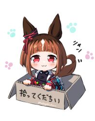 transcend (umamusume) from umamusume