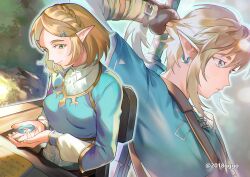 link from the legend of zelda