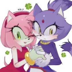 amy rose from sonic (series)