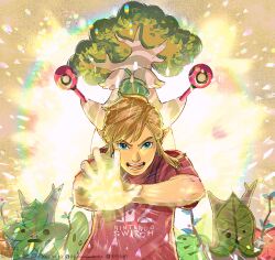 hestu from the legend of zelda