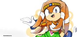tikal the echidna from sonic (series)