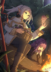 fern (sousou no frieren) from sousou no frieren