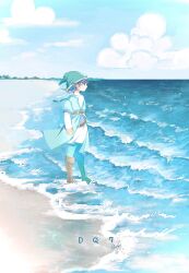 hero (dq7) from dragon quest
